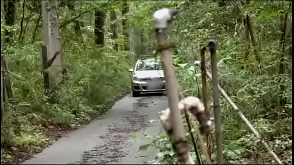 Man Arranges for Car Cuckold